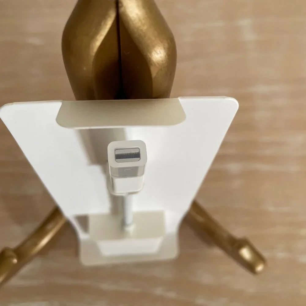 Apple mini displayport